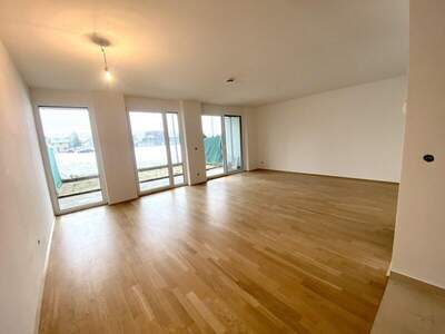 Terrassenwohnung kaufen in 1220 Wien (Bild 3)