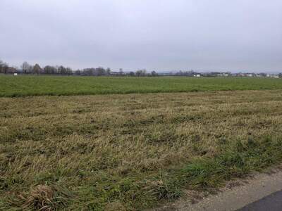 Gewerbeobjekt kaufen in 4343 Mitterkirchen