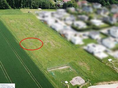 Grundstück kaufen in 4223 Ruhstetten (Bild 2)
