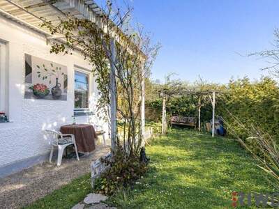 Einfamilienhaus kaufen in 2752 Wöllersdorf (Bild 2)