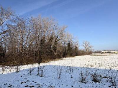 Mehrfamilienhaus kaufen in 2485 Wimpassing (Bild 5)