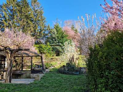 Haus mit Garten kaufen in 3430 Chorherrn (Bild 1)