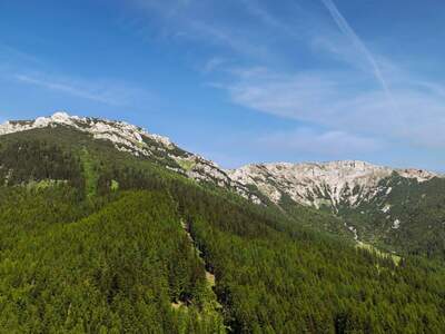 Gewerbeobjekt kaufen in 2651 Prein