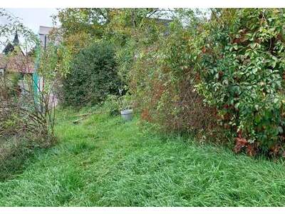 Grundstück kaufen in 3252 Petzenkirchen