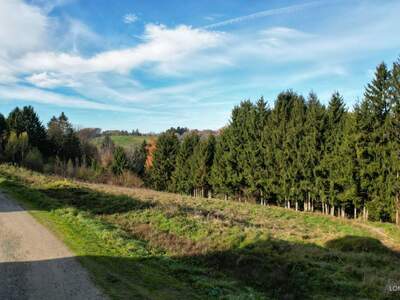 Grundstück kaufen in 8301 Kainbach (Bild 1)
