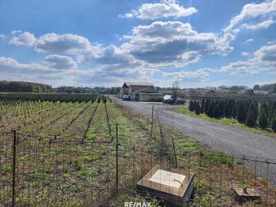 Gewerbeobjekt kaufen in 9771 Balogunyom (Bild 2)