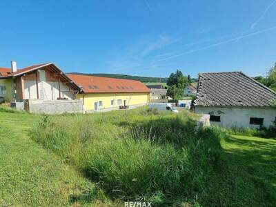 Grundstück kaufen in 3386 Sasendorf (Bild 3)