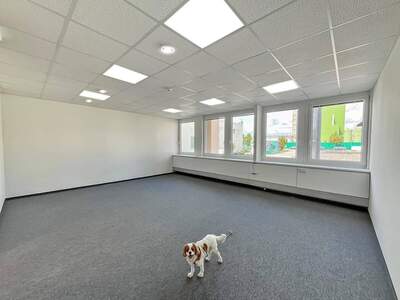 Gewerbeobjekt mieten in 1230 Wien