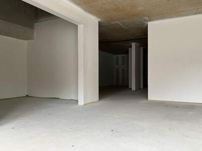 Gewerbeobjekt mieten in 1230 Wien (Bild 5)