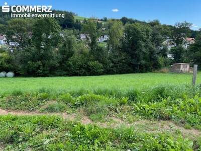 Grundstück kaufen in 2871 Zöbern