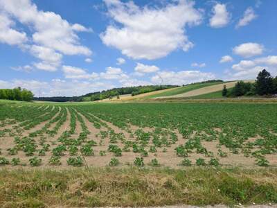 Gewerbeobjekt kaufen in 2325 Himberg