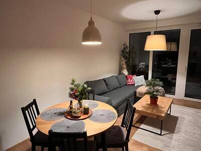 Terrassenwohnung mieten in 1220 Wien (Bild 3)