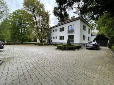 Gewerbeobjekt mieten in 4400 Steyr (Bild 3)