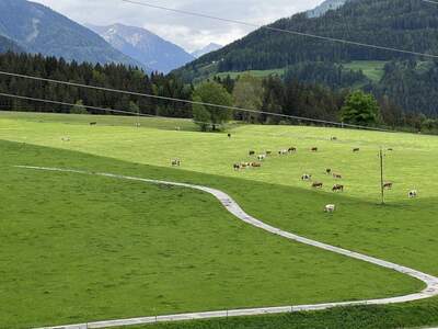 Gewerbeobjekt kaufen in 8962 Gröbming