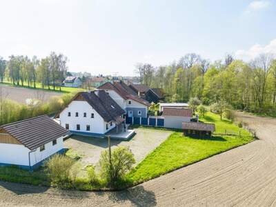 Haus kaufen in 4716 Hofkirchen