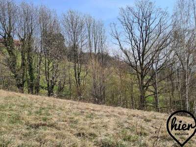 Grundstück kaufen in 8524 Deutschlandsberg (Bild 3)