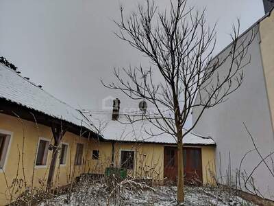 Haus kaufen in 2136 Laa