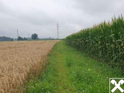 Gewerbeobjekt kaufen in 5231 Schalchen