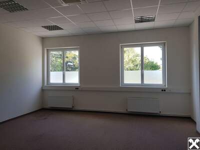 Gewerbeobjekt mieten in 3430 Tulln (Bild 3)