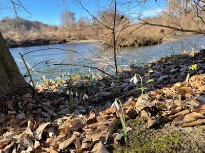 Grundstück kaufen in 8435 Wagna (Bild 2)