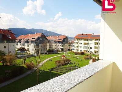 Wohnung mieten in 4560 Kirchdorf (Bild 4)