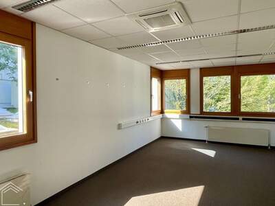 Gewerbeobjekt mieten in 1210 Wien (Bild 5)