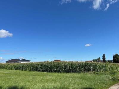 Grundstück kaufen in 4623 Gunskirchen