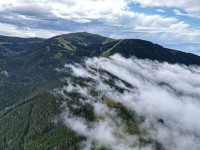 Grundstück kaufen in 9431 Kleinedling (Bild 3)