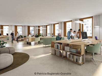 Gewerbeobjekt mieten in 1220 Wien (Bild 5)