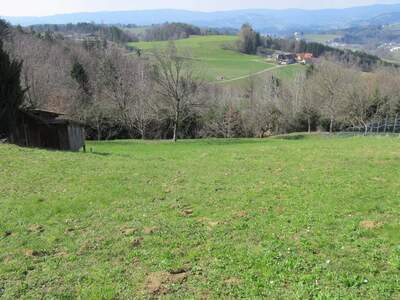 Grundstück kaufen in 8544 Brunn