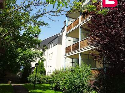 Wohnung mieten in 4209 Mittertreffling (Bild 3)