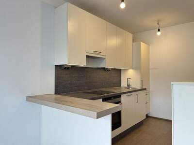 Wohnung mieten in 3400 Maria Gugging (Bild 2)