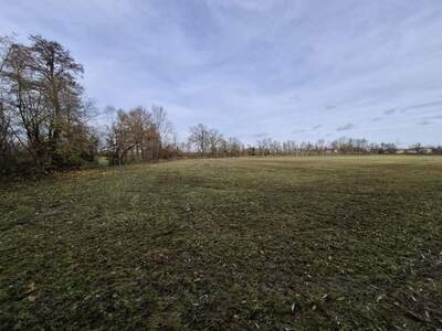 Gewerbeobjekt kaufen in 4950 Altheim