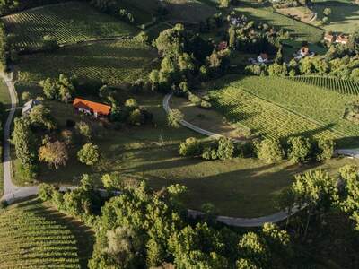 Haus kaufen in 8472 Obegg (Bild 5)
