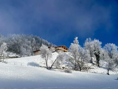 Gewerbeobjekt kaufen in 6346 Niederndorferberg (Bild 2)