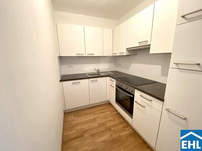 Terrassenwohnung mieten in 1090 Wien (Bild 2)