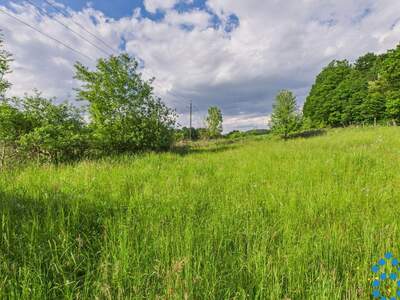 Grundstück kaufen in 8230 Eggendorf (Bild 3)