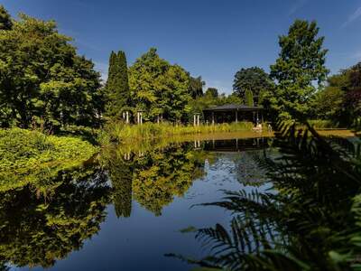 Haus mit Garten kaufen
