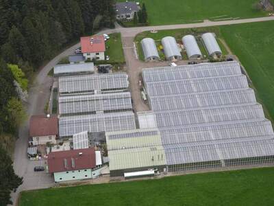 Gewerbeobjekt provisionsfrei kaufen in 4890 Danzenreith