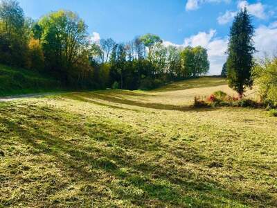 Grundstück kaufen in 4631 Haiding