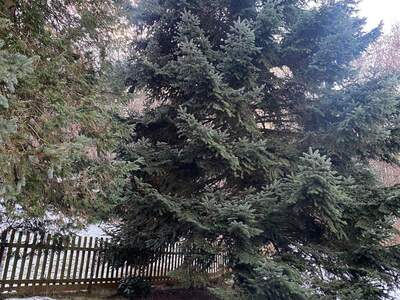 Grundstück kaufen in 8054 Graz (Bild 2)