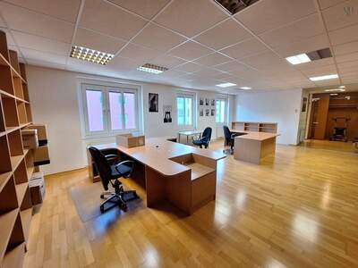 Gewerbeobjekt mieten in 1100 Wien (Bild 2)