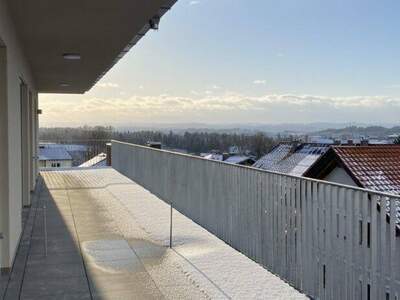 Anlageobjekt kaufen in 4492 Hofkirchen