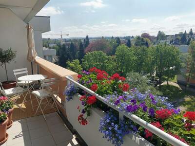 Wohnung mit Balkon kaufen in 4910 Ried (Bild 1)