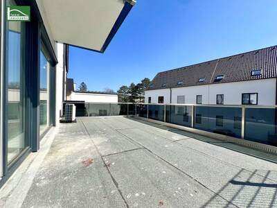 Anlageobjekt kaufen in 2481 Achau