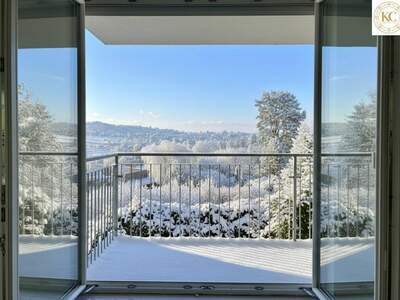 Haus kaufen in 1190 Wien