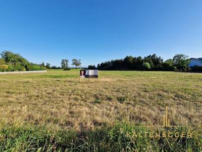 Grundstück kaufen in 2722 Weikersdorf (Bild 2)