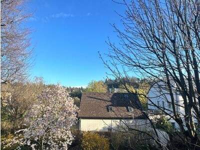 Grundstück kaufen in 4600 Wels (Bild 1)