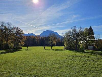 Mietwohnung in 4694 Ohlsdorf