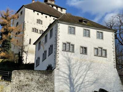 Haus kaufen in 9470 Werdenberg (Bild 4)